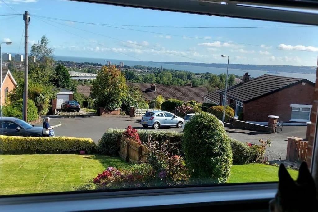 Bellevue Bungalow - Comfortable Home With Amazing Views Belfast Exteriér fotografie