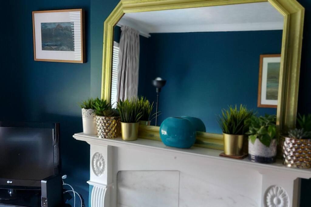 Bellevue Bungalow - Comfortable Home With Amazing Views Belfast Exteriér fotografie
