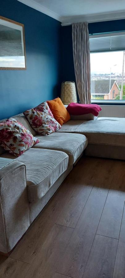 Bellevue Bungalow - Comfortable Home With Amazing Views Belfast Exteriér fotografie
