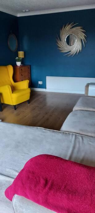Bellevue Bungalow - Comfortable Home With Amazing Views Belfast Exteriér fotografie