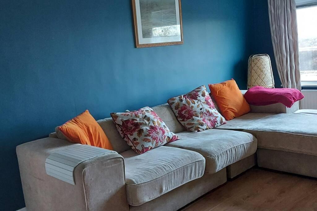 Bellevue Bungalow - Comfortable Home With Amazing Views Belfast Exteriér fotografie